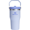 Stanley IceFlow Flip Straw 2.0 Tumbler 20oz in Dew Drop