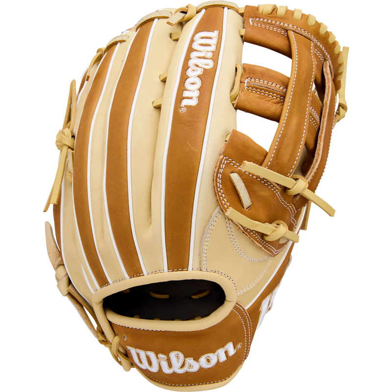 A1000 Outfield 1750 12.5" Dual Post Web, Featured Image