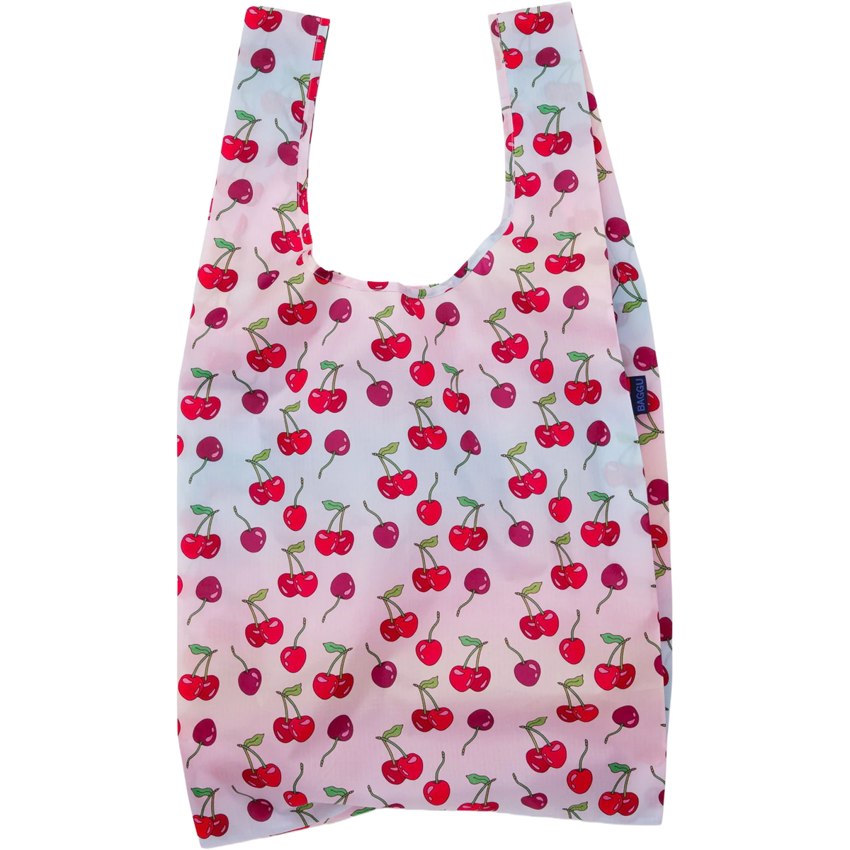Big Baggu alternate view