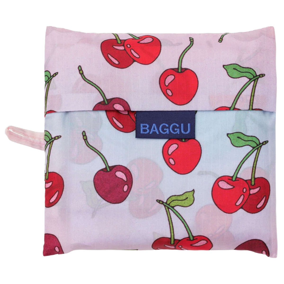 Big Baggu alternate view