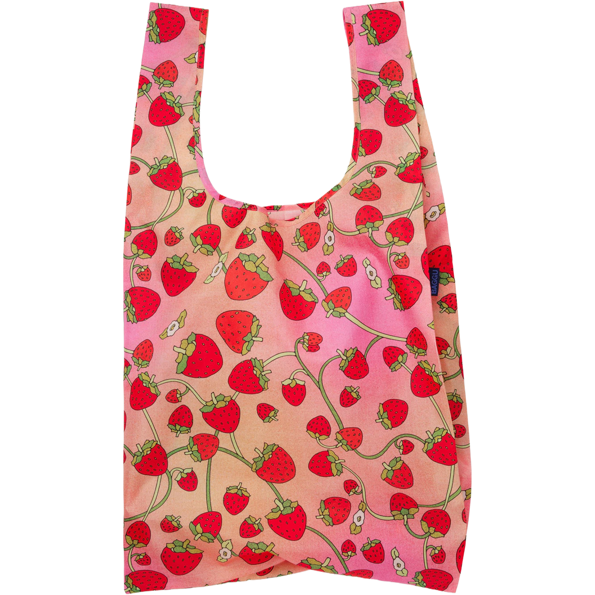 Big Baggu alternate view