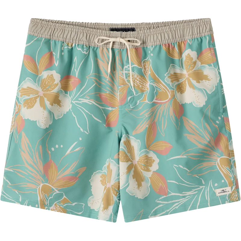 Men's Hermosa Elastic Waist Lined Trunk 17", Featured Image