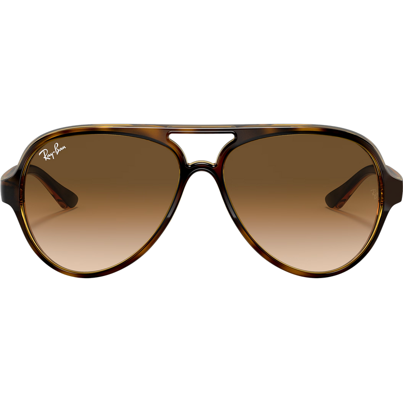 Cats 5000 - Light Havana/Light Brown Gradient, Featured Image