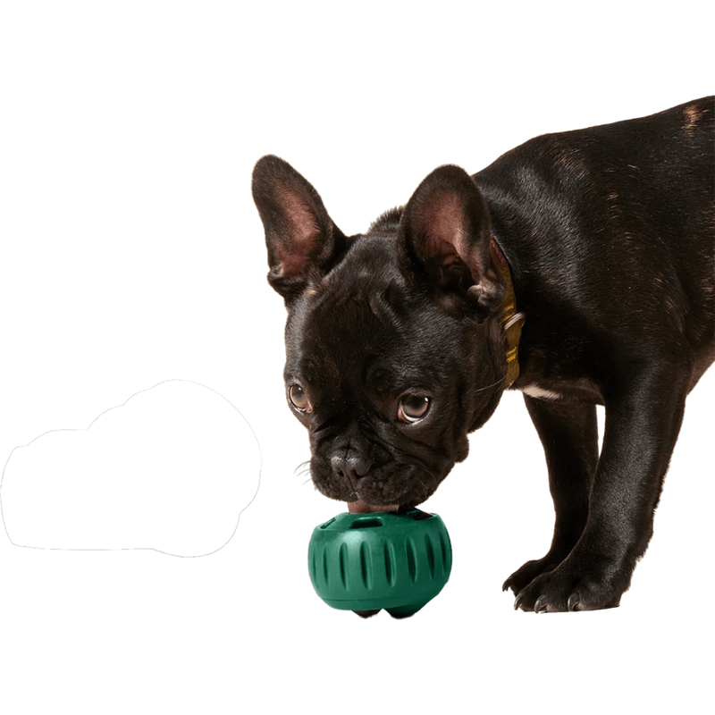 Pupsicle Pops, Woof Pupsicle Pops Dog Using