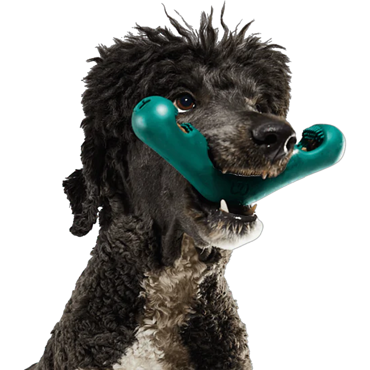 The Bite N' Brush alternate view