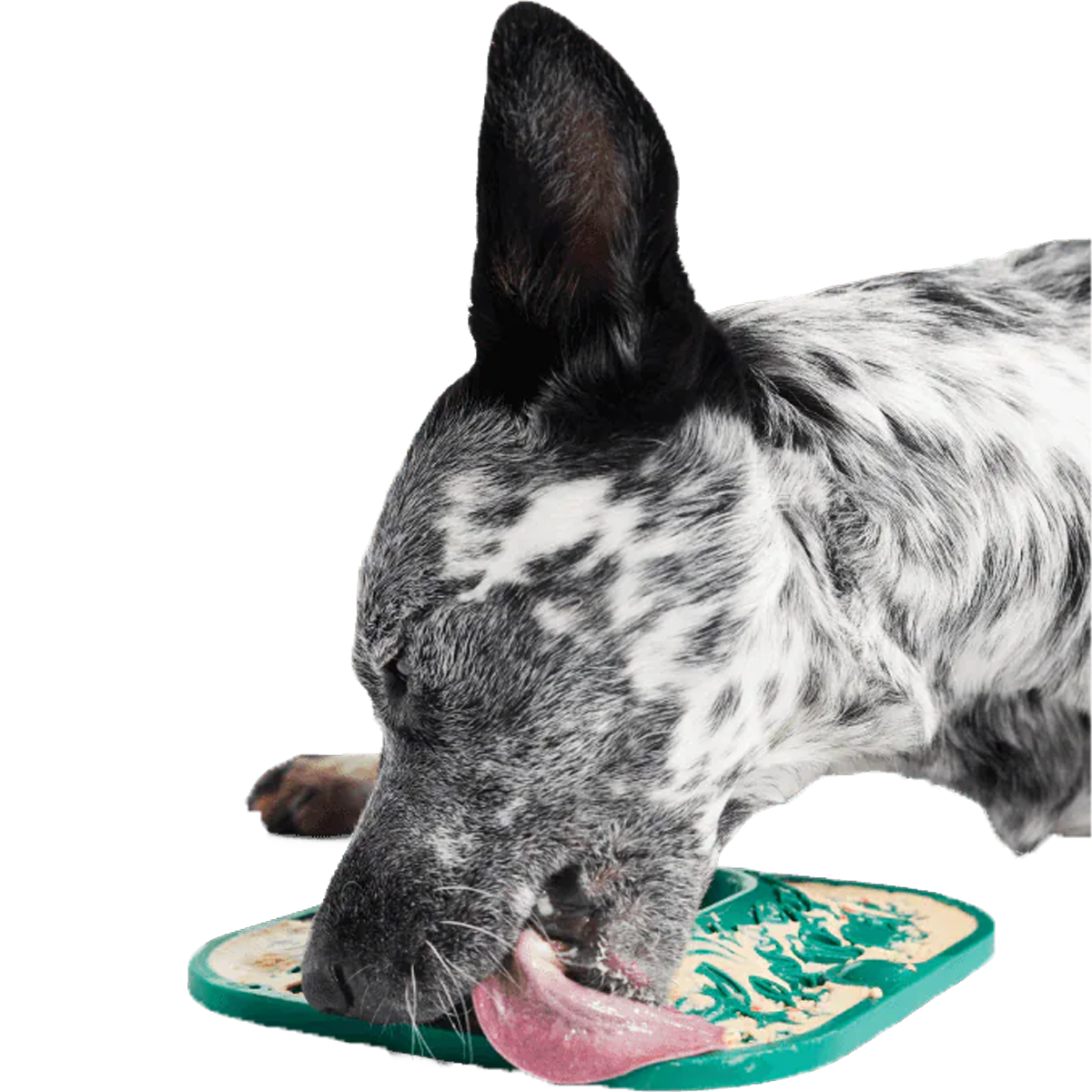 Lickmat alternate view