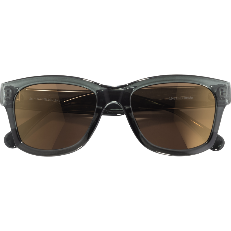 Targa Pine Bronze, Featured Image