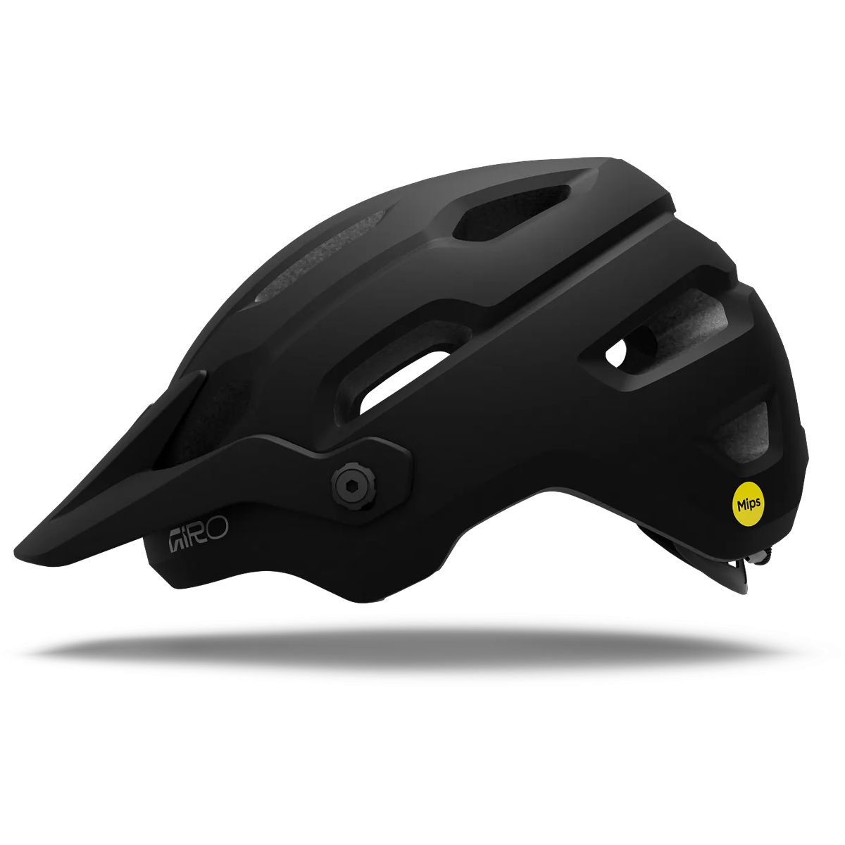 Source MIPS alternate view