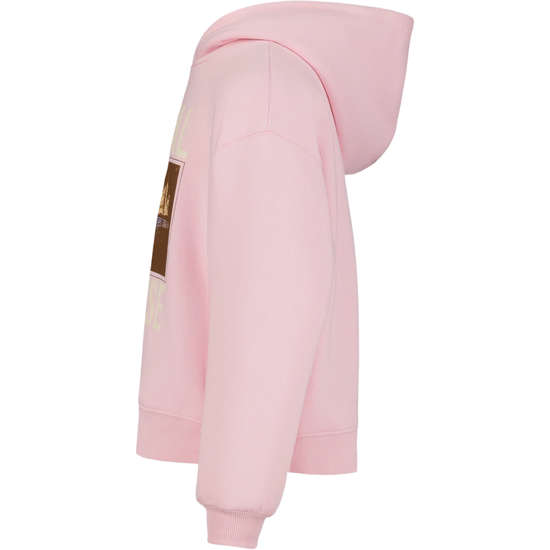 Youth Coastal Paradise Hoodie, Billabong Youth Coastal Paradise Hoodie in Roseate side view