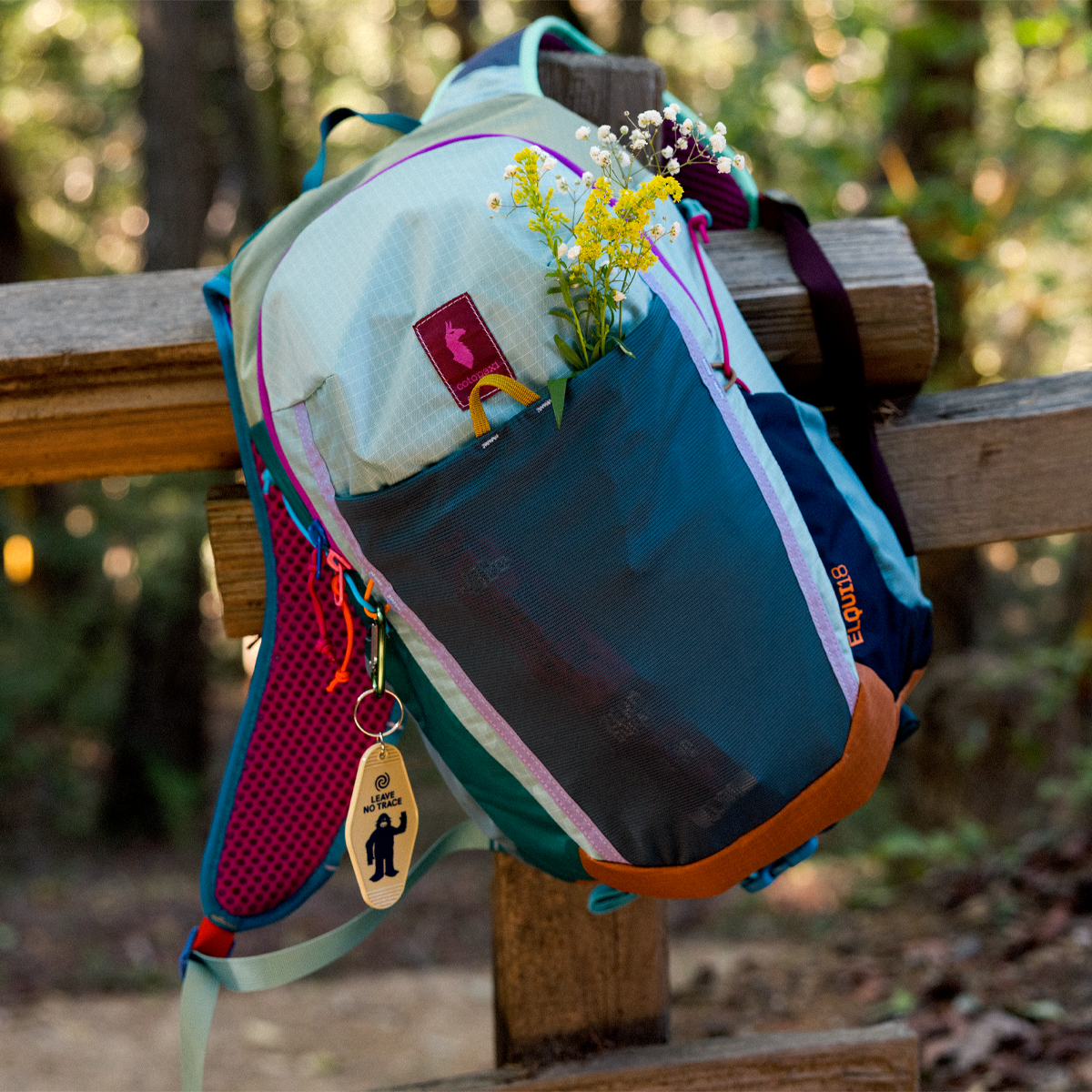Elqui 18L Daypack alternate view