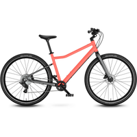 Kids Bikes & Trailers