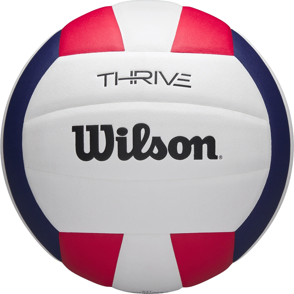 Thrive Game Volleyball alternate view