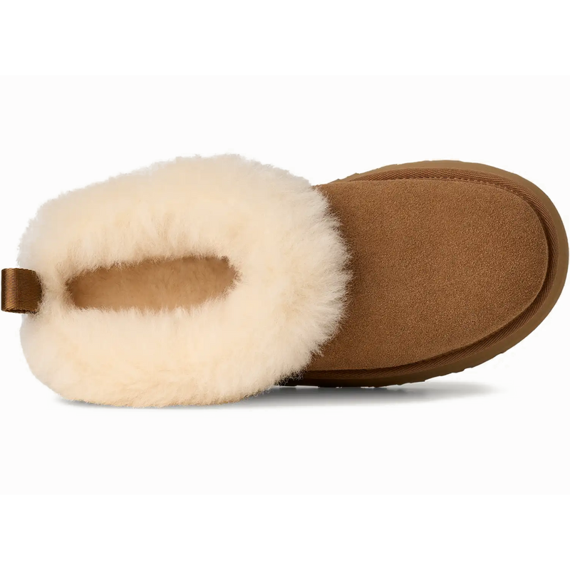 Women's Tazzelle, UGG Women's Tazzelle in CHE-Chestnut top