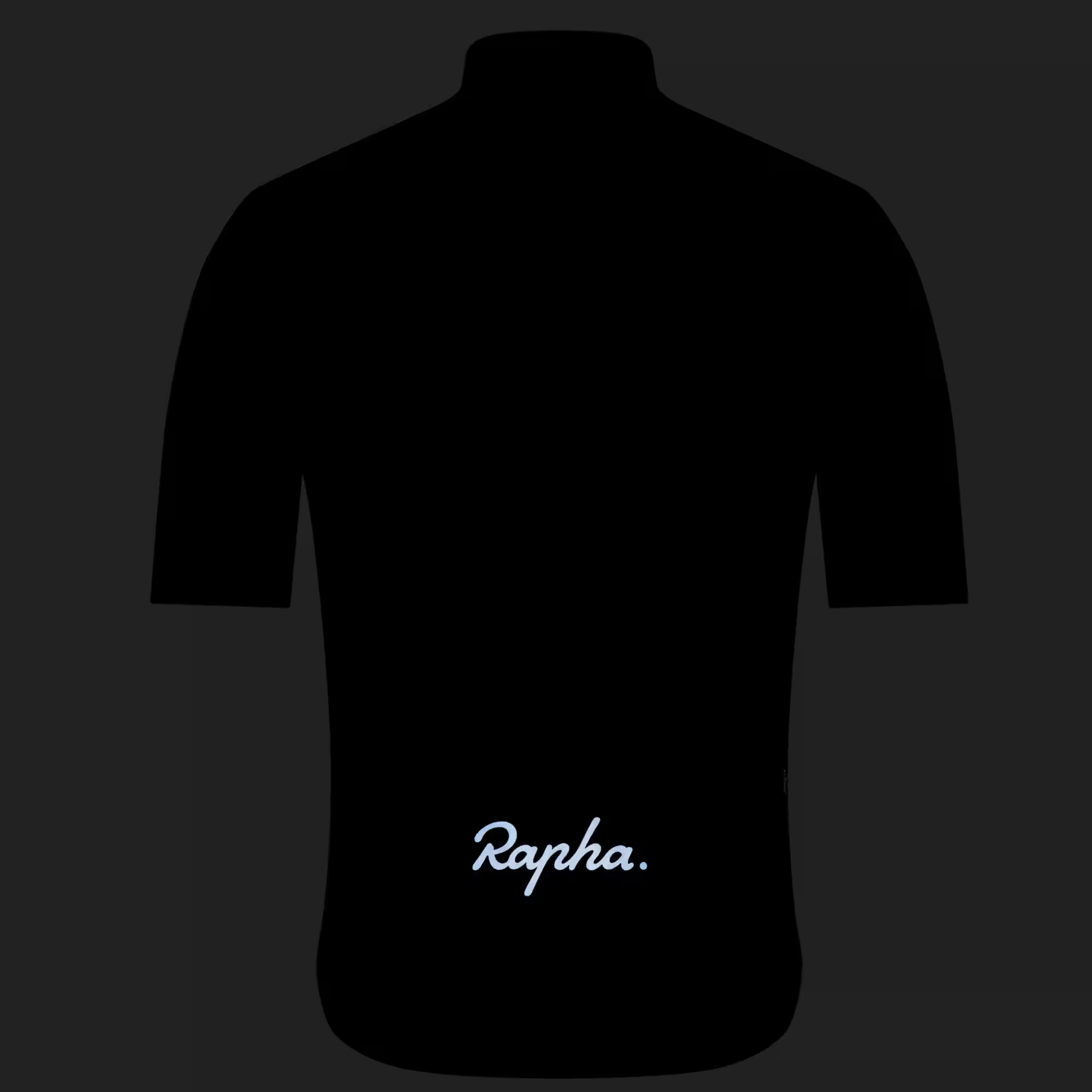Men's Brevet Element Jersey alternate view