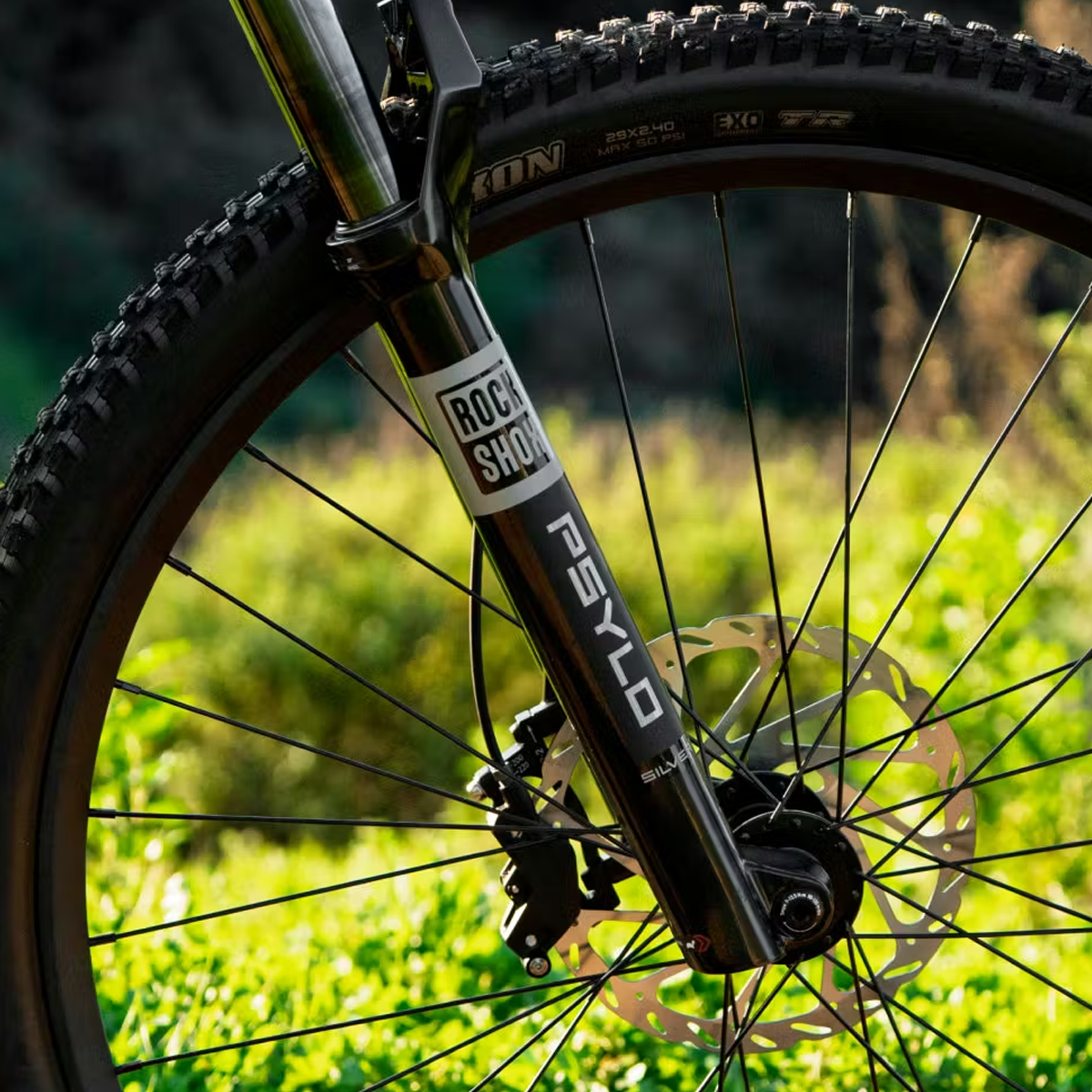 Ramblas ADV eMTB alternate view