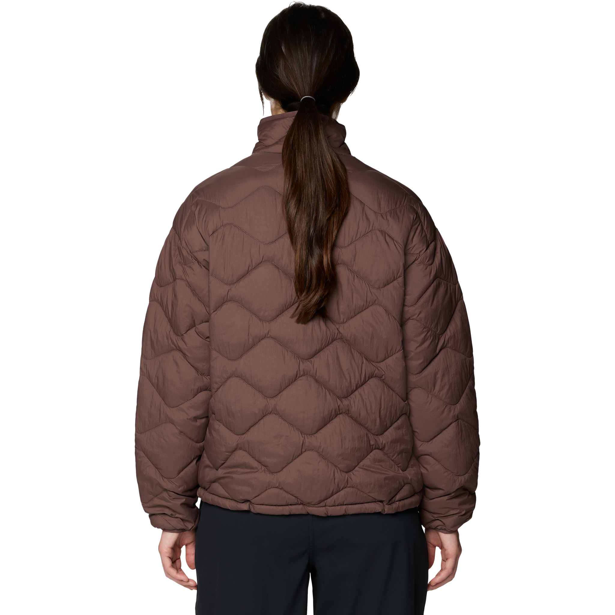 Mountain Hardwear Women's Seek Out Snap Neck Pull Over Back