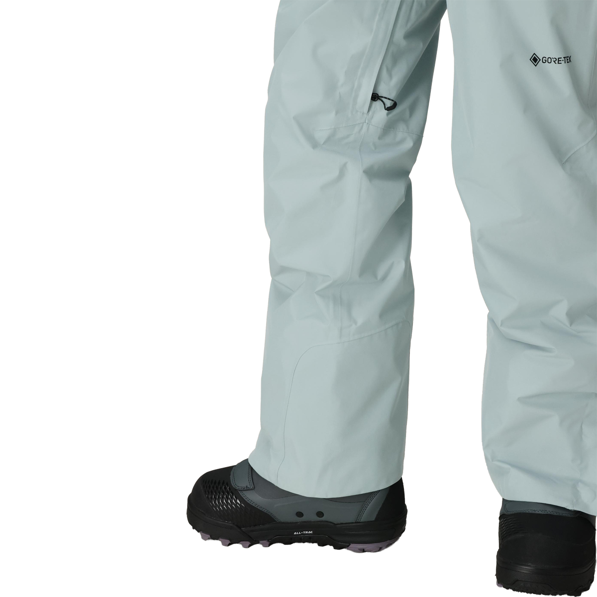 Women's Gore-Tex Willow Insulated Pant alternate view