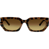 Gloss Tort + Brown Gradient