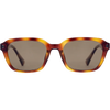 Tort + Brown Gradient Polarized