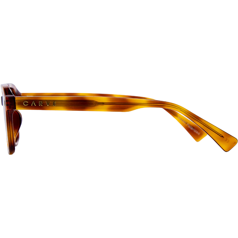 Del Ray, Carve Del Ray in Tort + Brown Gradient Polarized left