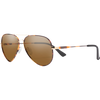 Metal Tortoise/Polarized Brown