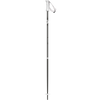Black Pearl
