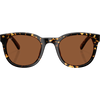 Tortoise/Copper