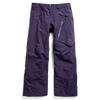 Burton Men's AK Cyclic Gore Tex 2L Pants in Night Shade Purple