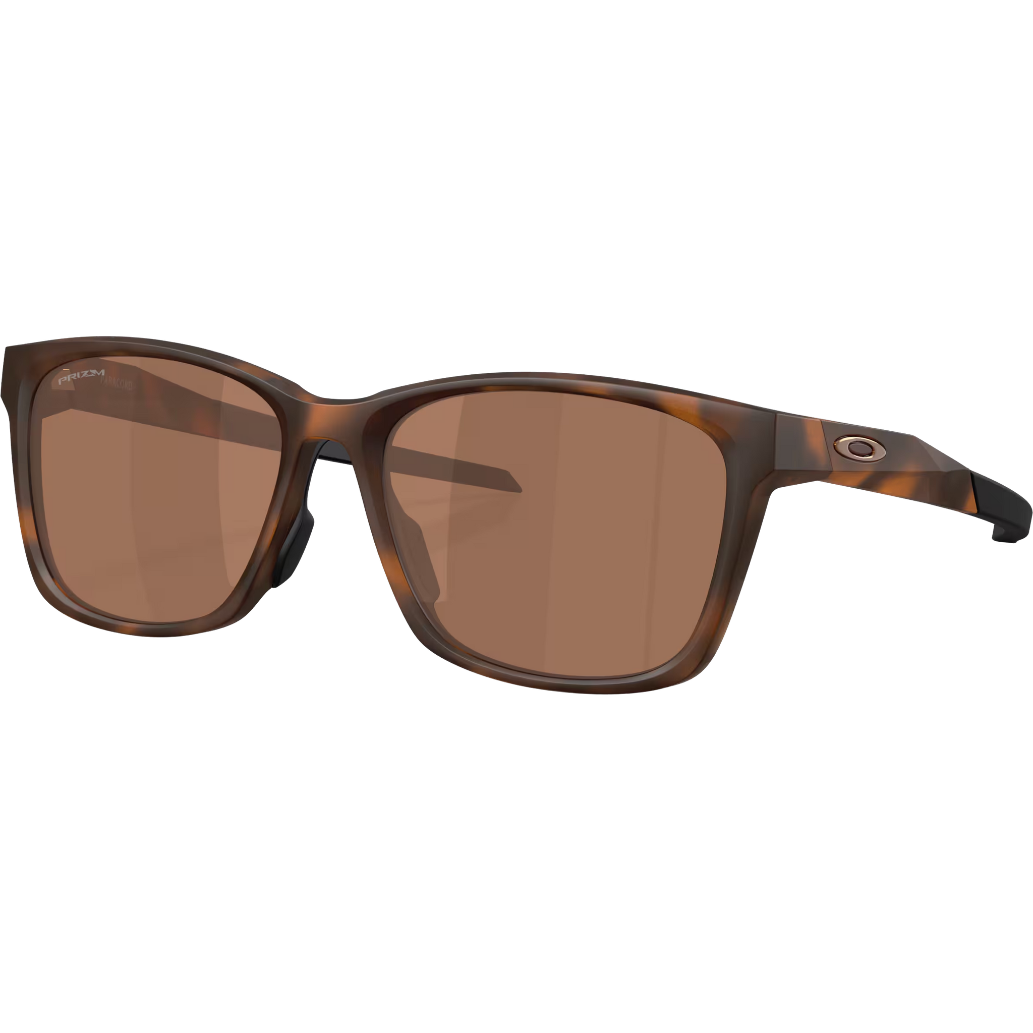 Paracord - Matte Tortoise/Prizm Tungsten alternate view