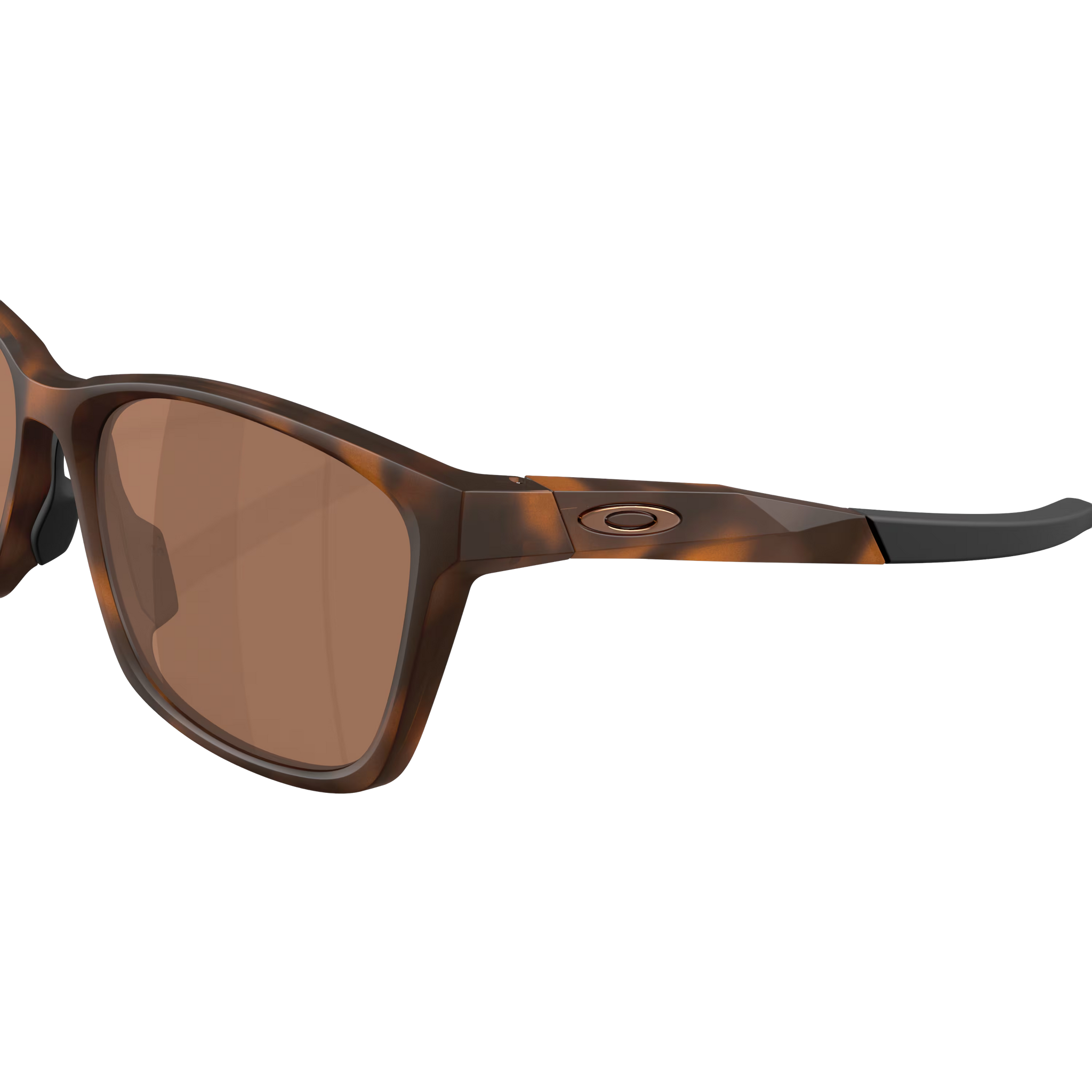 Paracord - Matte Tortoise/Prizm Tungsten alternate view
