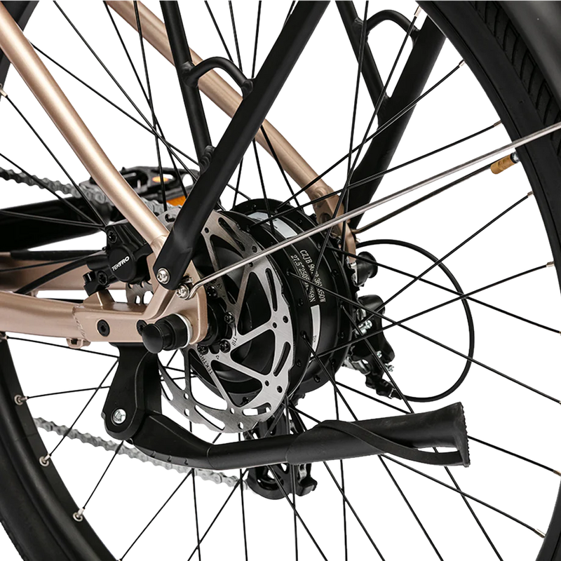 Trax Sport Mid-Step, Troxus Trax Sport kickstand