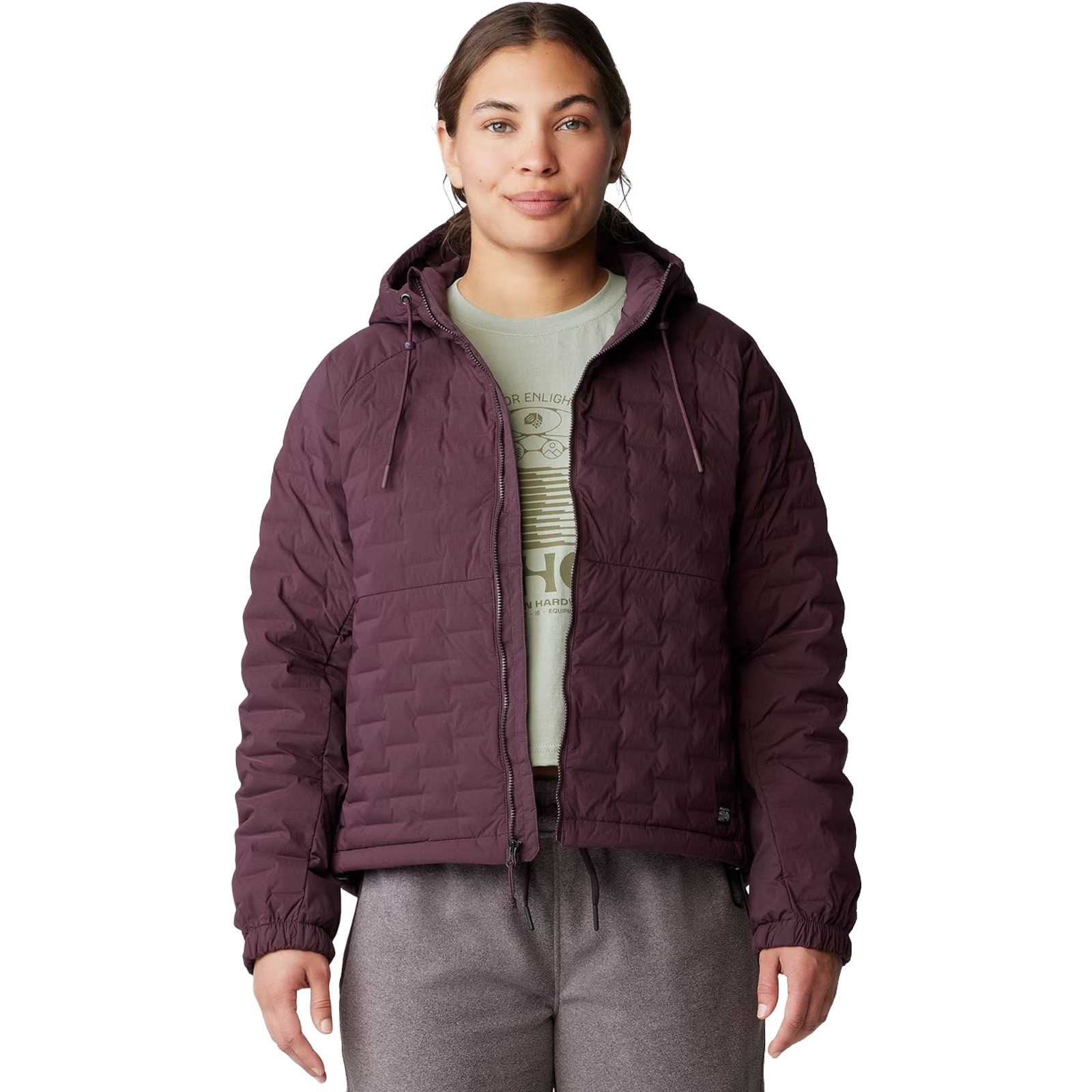Women's Stretchdown Light Full Zip Hoody alternate view