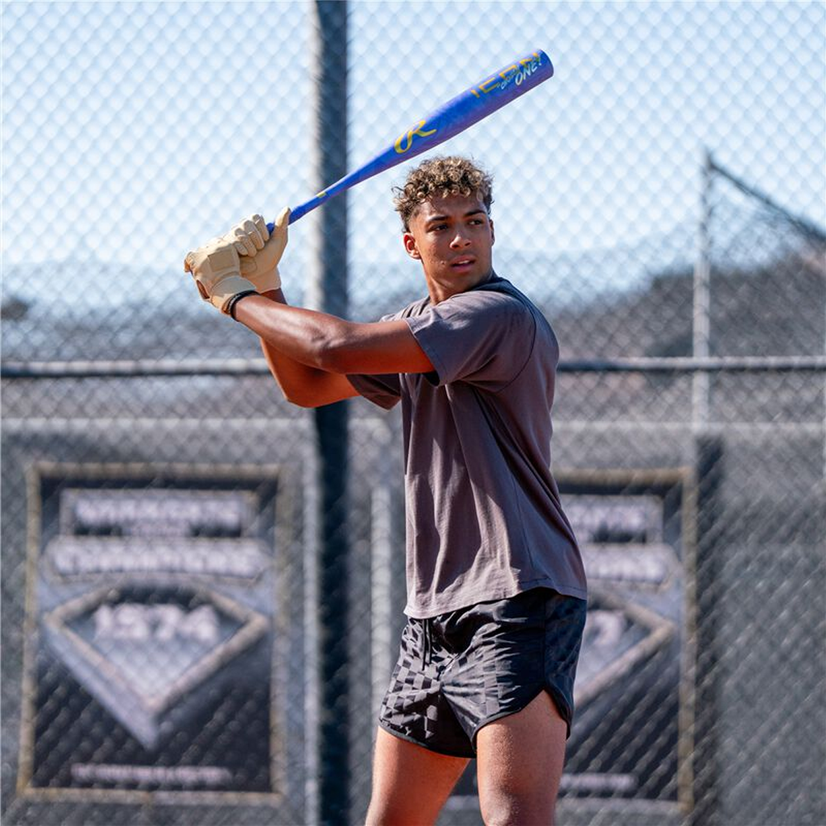 Rawlings Icon Chosen One BBCOR -3 in Purple in action