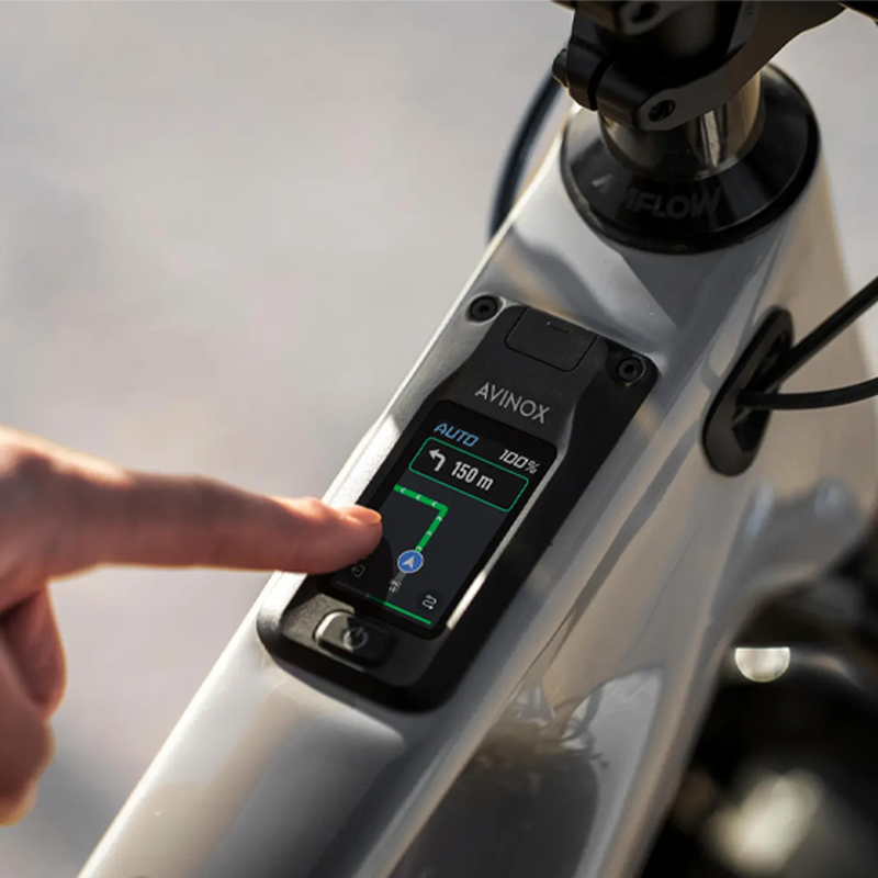 AMFLOW PX Carbon Demo Bike
