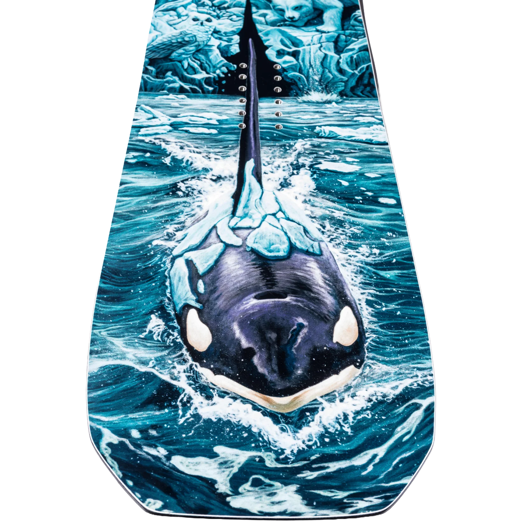 Golden Orca alternate view