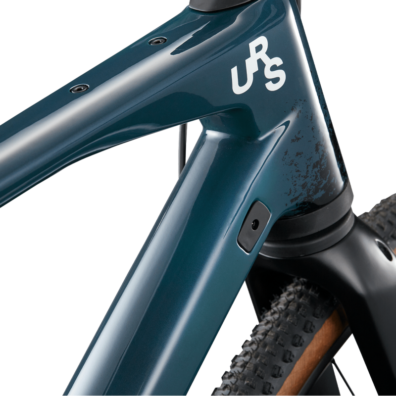 URS01 LT ONE, BMC URS01 LT ONE frame detail