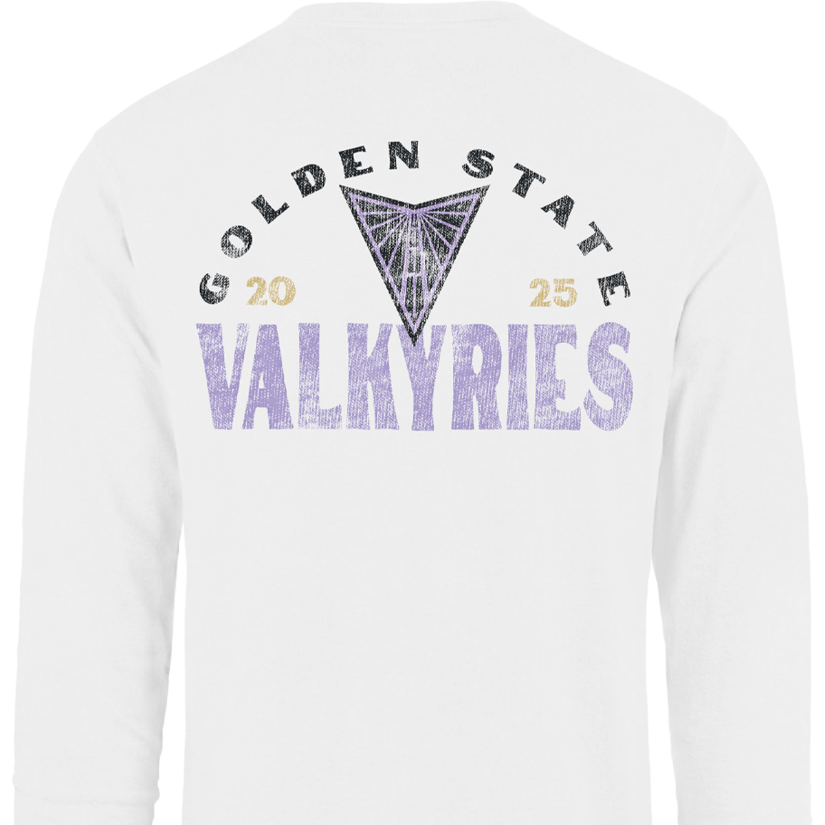 47 Brand Men's Valkyries Arcitext 47 Franklin Long Sleeve back image detail