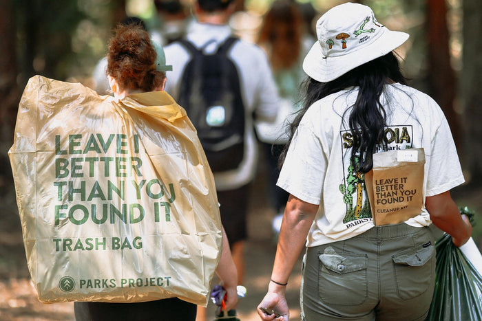 BRAND INITIATIVES FT. PARKS PROJECT