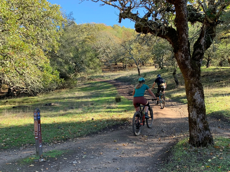 friends of trione-annadel park