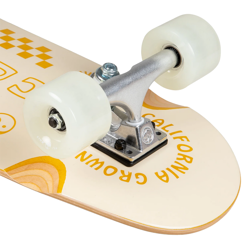 Venice Pilsner 28.75" C, Arbor Skateboards Venice Pilsner 28.75" C trucks and wheels