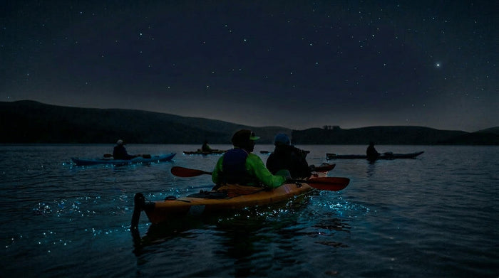 Save 10% on tours and up to 30% on rentals at Sea Trek!