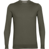 Icebreaker Men's Shearer V Sweater in Loden