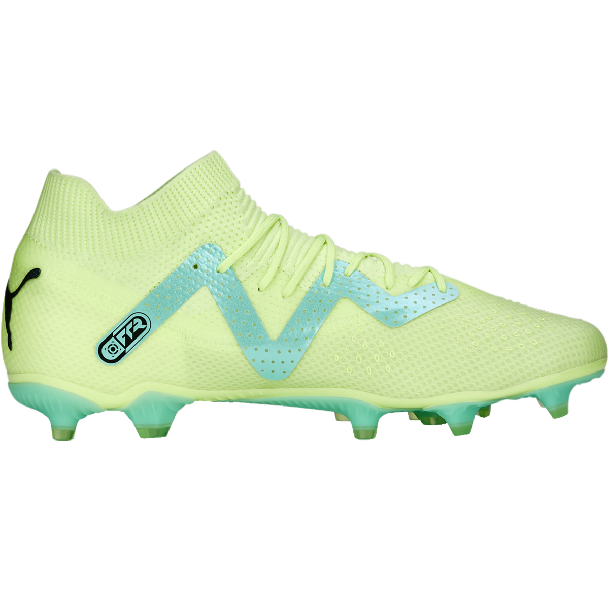 Future Pro FG/AG alternate view