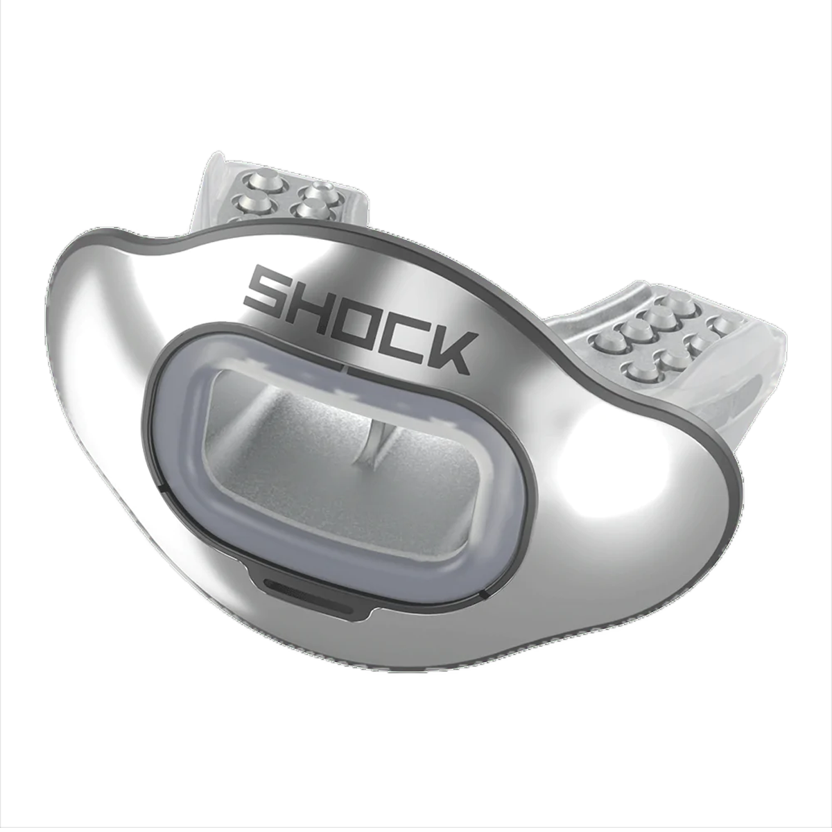 Interchange Lip Guard Mouthpiece & Shield alternate view