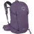 Purpurite Purple