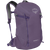 Purpurite Purple