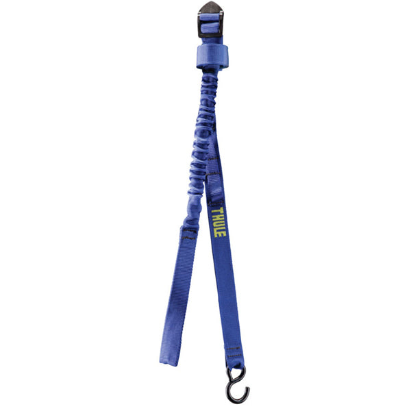 Express Surf Strap 531, Featured Image