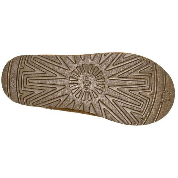 Women's Tasman alternate view