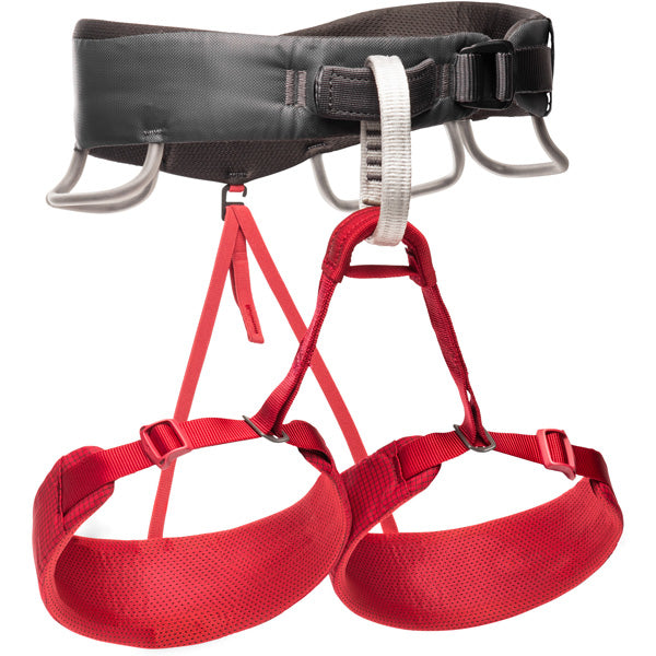 Women's Momentum Harness alternate view