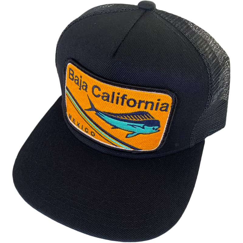Baja California Trucker, Bart Bridge Baja California Trucker